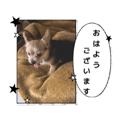 ne-ne_20250915201938