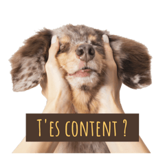 T'es content ?