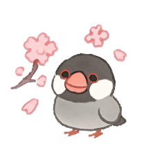 sakura_20250915135855