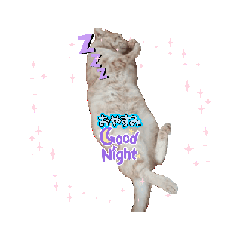 haruka_20250916075359