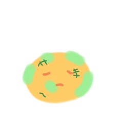 我不是橘子也不是柳丁