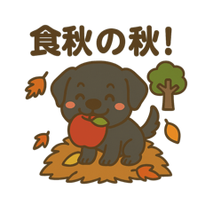 SAKURA_20250915114747