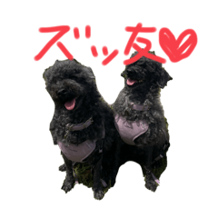 nozomi_20250915125252