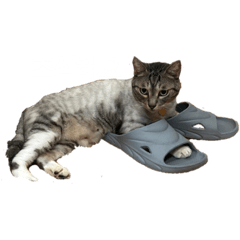 K_20250914153156