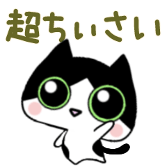 Super small tuxedo cat gyu-