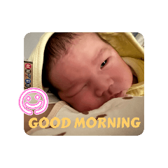 兜兜的日常貼圖