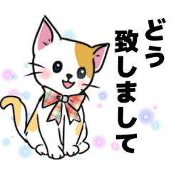 可愛いネコの日常❤️