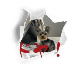 Yukan_20250915145603