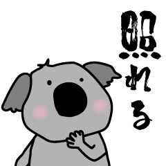 【コアラ】毎日使える♪
