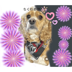 riko_20250915171733t