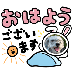maple_20250915172423