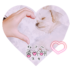 wataame_20250915160907