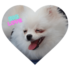 natsu_20250915162712