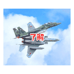 hide_19651002