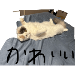 Takeru_20250915173630