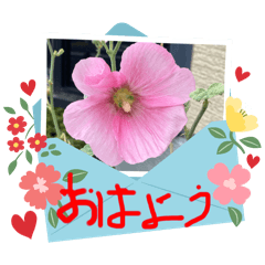 Sunny_20250915143134