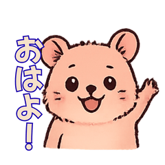 Honest Quokka Wallaby