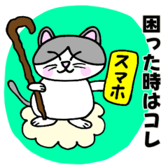 コロン様 【デブ猫 仙人】毎日使える