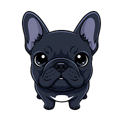 Cinnamon the French Bulldog