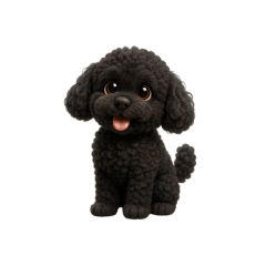 Toy Poodles Daily Life