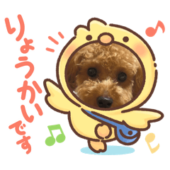 kinako_20250915183817