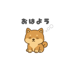 Emotional Shiba Inu