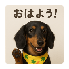 rintarou_20250916093619