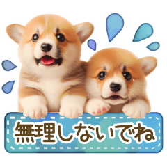 ネガティブなコーギーのスタンプ✿.•