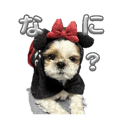 hana_20250915193223