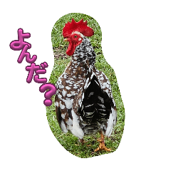 GUCCHAN_2025