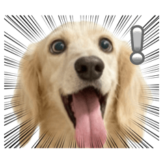 麥香雞每天日常