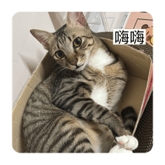 憨豆洗完澡會變什麼 ：香香豆