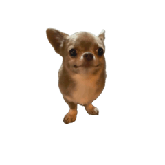 Danny_20250915192857