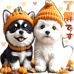 豆柴(黒柴)♡ゴールデンドゥードル DOGs