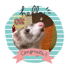 kaoru_20250915203255