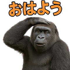 Happy Animal_Gorilla1