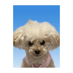 vivian_20250915204752