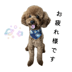 akane_20250915210752