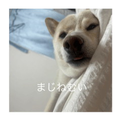 Natsu_20250915225614