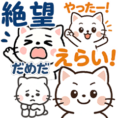 negative and positive cat 2025