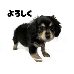 mikochiru_20250915223604