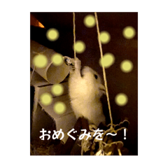 m_20250916071424