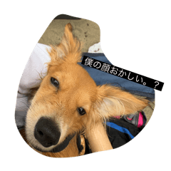 koko_20250916065050