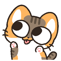 calico cat daily