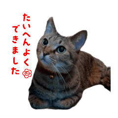 maimai_20250916020021