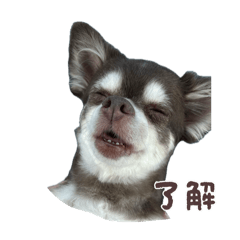 Satoshi_20250916124710