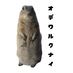 Sakura_20250916122112