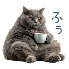 毎日使える実写ネコ【挨拶・連絡】