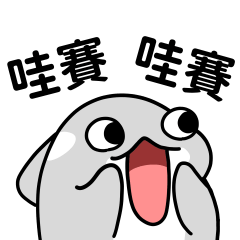 虎鯨白白 9 - 滿滿誇誇情緒價值