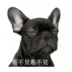 法豬豬—敷衍版